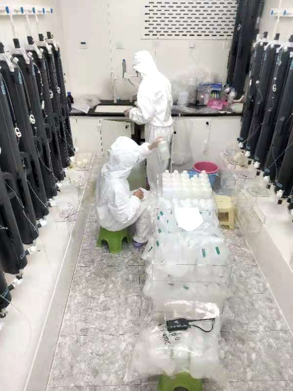 洁净条件下处理海水样品